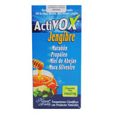 Activox Jarabe Jengibre X 180ml