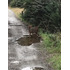 Venta Parcela 14400mts Chonchi