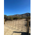 Parcelas De Agrado 10000 M2 Curacavi  Ruta 68 (176809)