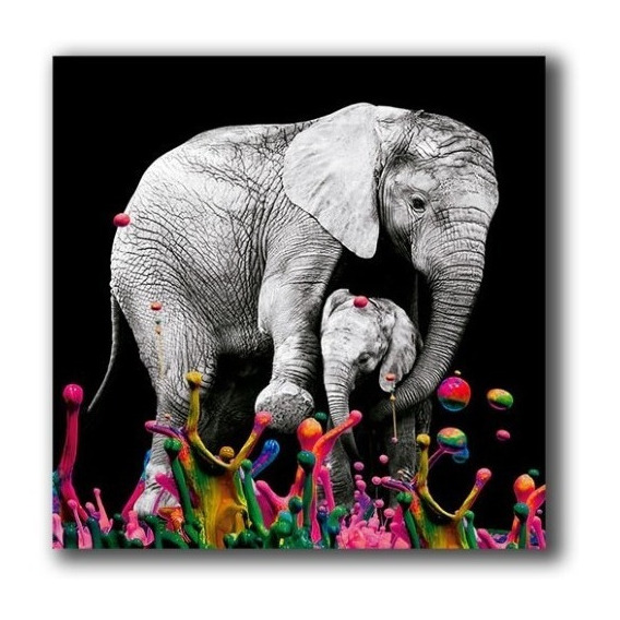 Cuadro Elefante Colores S