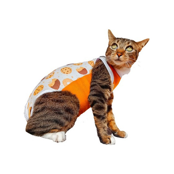 Traje De Recuperacion Para Gato - Unidad a $29498