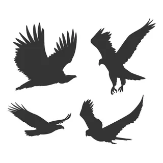Adesivos De Vidro E Parede, 6 Pássaros, Águias, Gavião 30cm