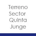 development-logo