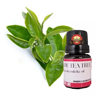 Aceite Esencial Arbol Tea Tree 15 Cc Materia Prima