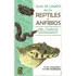 Guía De Campo De Los Reptiles Y Anfibios Del Chaco Paraguayo, De David Norman. Editorial Servilibro, Tapa Blanda, Edición 1 En Español, 2020