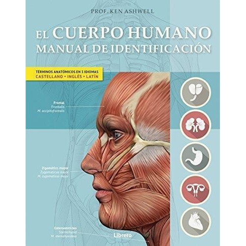 Cuerpo Humano, El- Manual De Identificacion  Td, de Ashwell, Ken. Editorial Librero en español