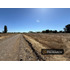 Parcelas En Venta 5000m2  Camino A Cato Chillán