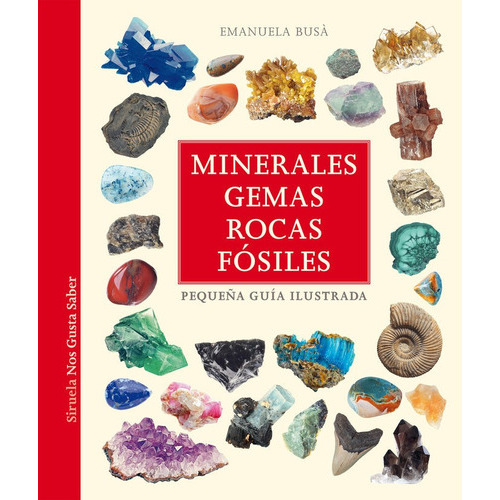 Minerales, Gemas, Rocas Y Fosiles:pequeãâa Guia Ilustrada, De Busa, Emanuela. Editorial Siruela, Tapa Dura En Español
