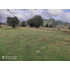 Parcela En Venta | 5.000 M² | Riñinahue - Lago Ranco