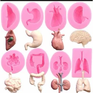Molde De Silicón Órganos Humanos Riñón Estómago Cerebro 8 Pz