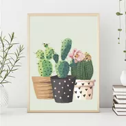 Cuadro - 20x25 Cm -  Cactus, Suculentas, Plantas