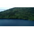 Remate -  Futrono/lago Ranco - 60 Hectáreas
