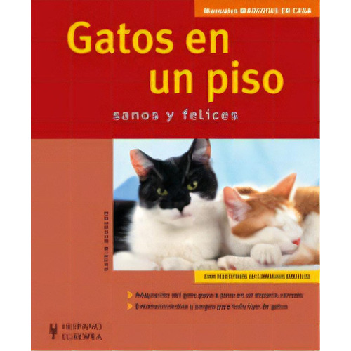 Gatos En Un Piso, De Behrend, Katrin. Editorial Hispano Europea, S.a., Tapa Blanda En Español
