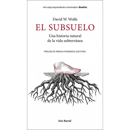 El Subsuelo, De Wolfe, David W.. Editorial Seix Barral, Tapa Blanda En Español