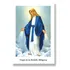 Virgen De La Medalla Milagrosa - Tarjeta X 10 Unidades
