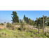 Terreno En Venta En Los Pinos De Reñaca