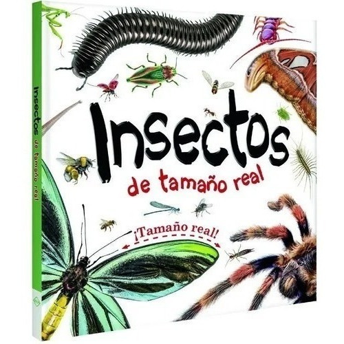 Libro Insectos Impresionantes Páginas Desplegables