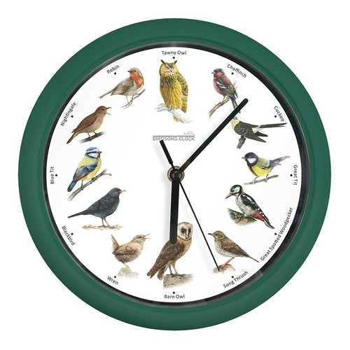 Reloj De Pájaros Cantores Starlyf Birdsong Clock Color de la estructura Verde Color del fondo Blanco