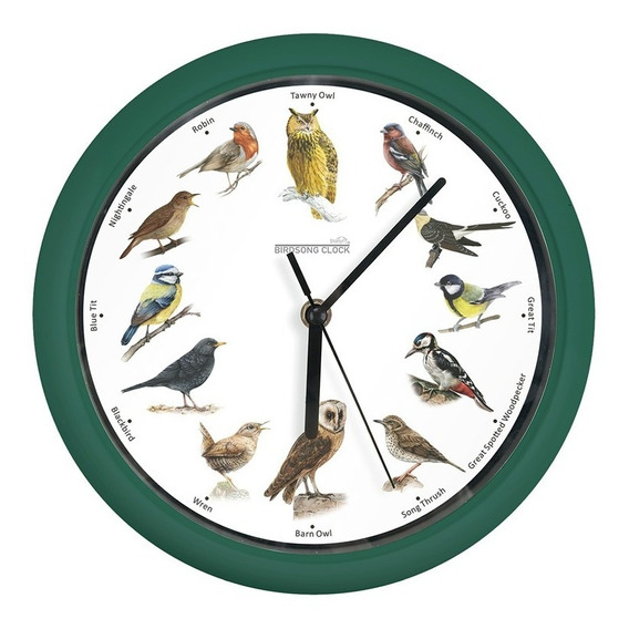 Reloj De Pájaros Cantores Starlyf Birdsong Clock Color de la estructura Verde Color del fondo Blanco