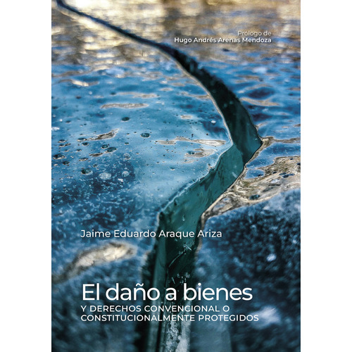 Daño A Bienes Y Derechos Convencional O Constitucionalmente Protegidos, El, De Araque Ariza, Jaime Eduardo. Editorial Universidad Del Rosario, Tapa Blanda, Edición 1 En Español, 2022