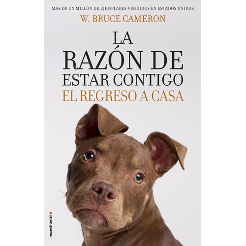 La Razãâ³n De Estar Contigo. El Regreso A Casa, De Cameron, W. Bruce. Roca Editorial, Tapa Blanda En Español