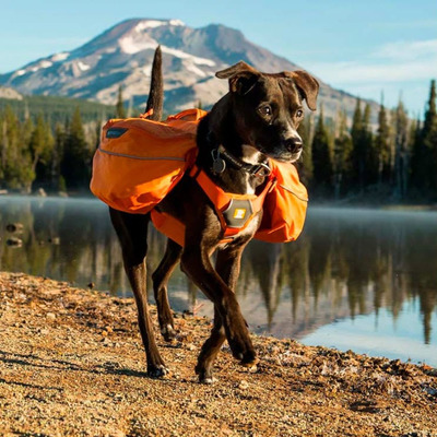 Ruffwear - Approach Dog Pack Para Tu Mascota 2023