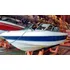 Lancha Open Regnicoli 160 Motor Mercury 50 Hp