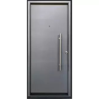 Puerta Exterior Alta Seguridad Doble Chapa (116/11 L)