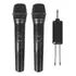 2x Sistema De Micrófono Inalámbrico De Mano Para Karaoke