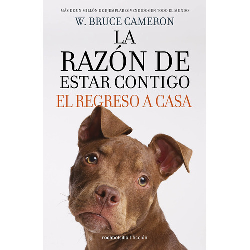 El regreso a casa, de Cameron, W. Bruce Bruce. Serie Roca Trade Editorial ROCA TRADE, tapa blanda en español, 2018