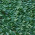 Pack X2 Enredadera Hojas Artificial Color Verde