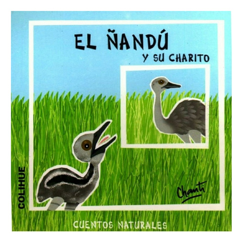 El Ñandú Y Su Charito - Chanti Cuentos Naturales