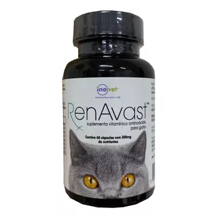 Renavast Cats 300mg (60 Comprimidos) - Inovet
