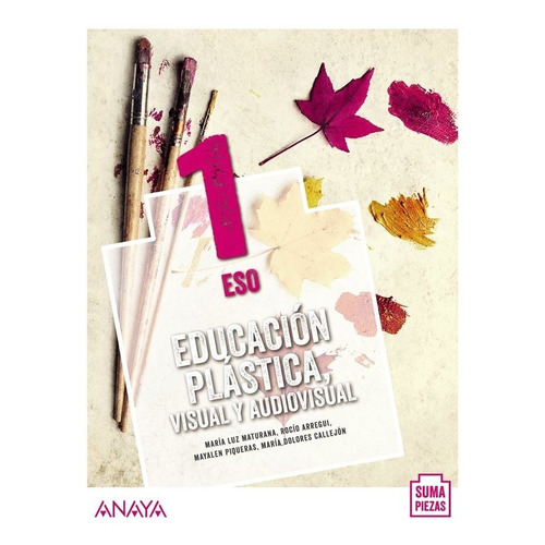Educaciãâ³n Plãâ¡stica, Visual Y Audiovisual 1., De Arregui Pradas, Rocío. Editorial Anaya Educación, Tapa Blanda En Español