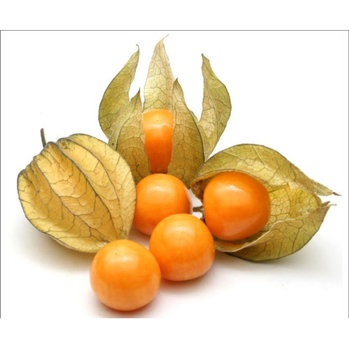 Semillas De Uchuva Aguaymanto Physalis Superalimento 550 Pz