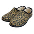 Leopardo