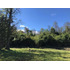 Rupanco 5.000 M2 // Exclusivo Proyecto (99135)