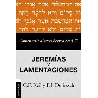 Comentario Al Texto Hebreo Del At Jeremias Y Lamentaciones