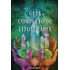 Livro: Guía Completa De Litoterapia: Como As Pedras Preci...