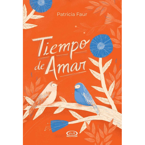 Tiempo De Amar - Patricia Faur - Libro V&r