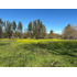 Venta De Terrenos  Sector Los Rulos