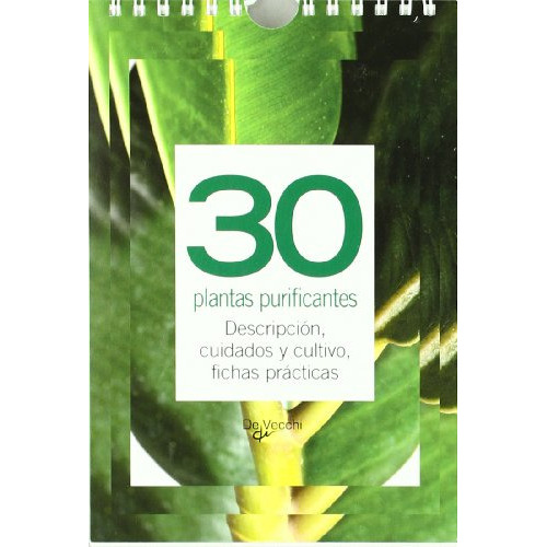 30 Plantas Purificantes Descripcion Cuidados Y Cultivo Fich, De Vvaa. Editorial De Vecchi, Tapa Blanda En Español, 9999