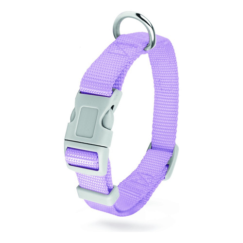 Petit Collar Para Perro Grande Resistente Y Ajustable Color Morado