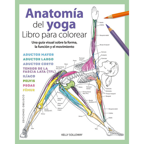 Anatomía del yoga. Libro para colorear: Una guía visual sobre la forma, la función y el movimiento, de Solloway, Kelly. Editorial Ediciones Obelisco, tapa blanda en español, 2021