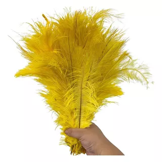Penas Plumas De Avestruz Coloridas Decoração Roupa Festas Cor Amarelo Canário