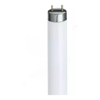 Lâmpada Fluorescente 20w T9 Luz Do Dia , Kit 25x Uso Reator