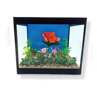 Aquário Luxo C Decoração Fixa 5 Litros Peixes Bettas Beteira