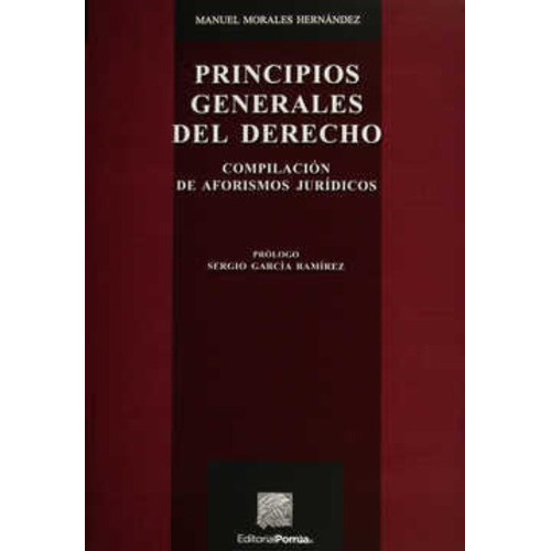 Principios Generales Del Derecho, De Manuel Morales Hernández. Editorial Porrúa México, Edición 2, 2015 En Español