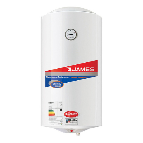 Calefon Termotanque 80lts James Acero+bono Dto.ute.sensacion Color Blanco