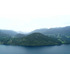 Remate -  Futrono/lago Ranco - 60 Hectáreas